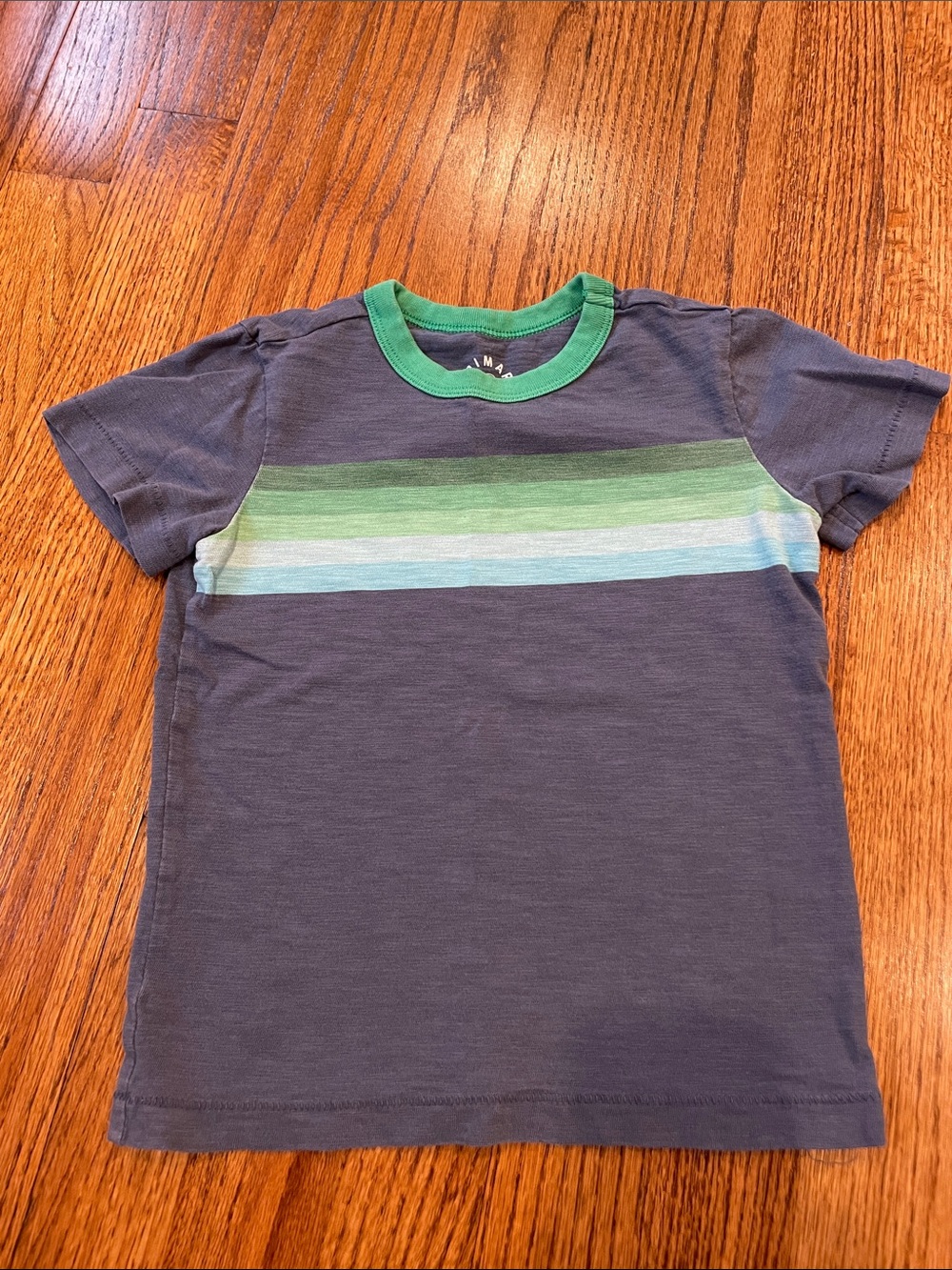 Primary 2-3 t-shirt
